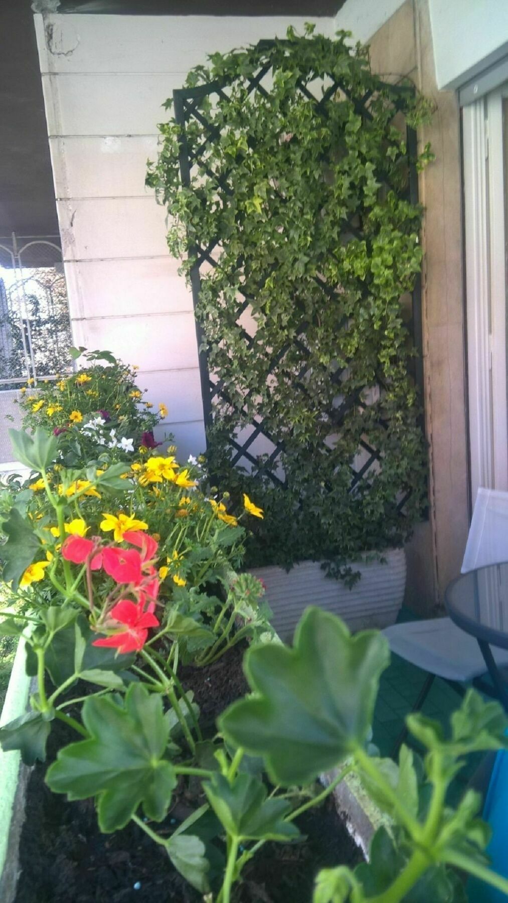 Luxury In Vatican Area